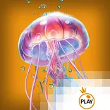 Imagen juego