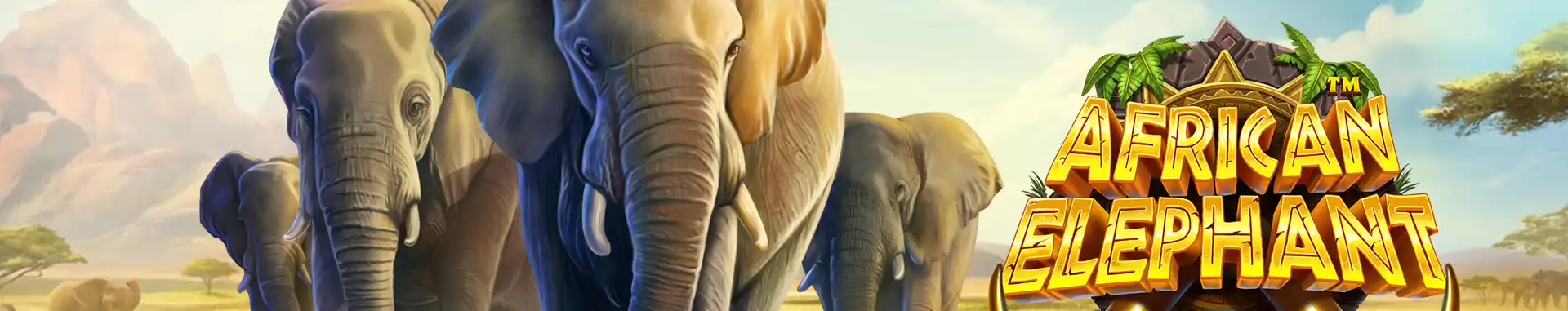 Slot African Elephant