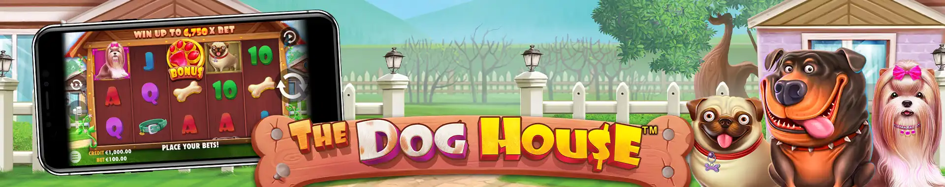 The Dog House
